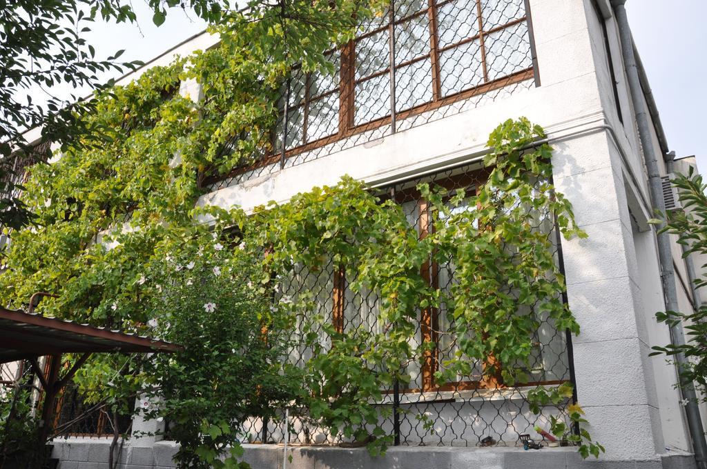 Villa Ivana Odessza Kültér fotó
